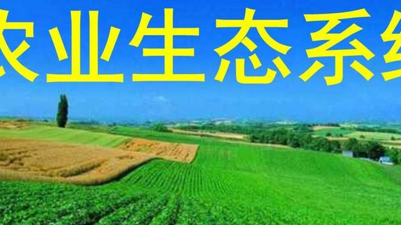 水肥一体化智能控制器：农业灌溉的智慧之选