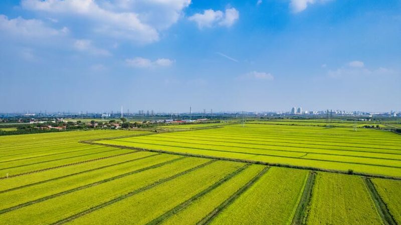 植保无人机，如何维护保养才能飞得更远？**
