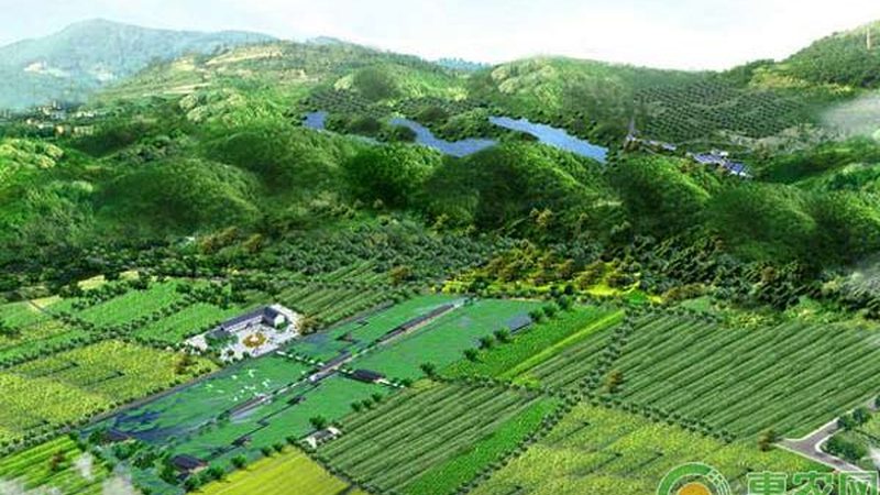 农民专业合作社：构建现代农业的微观基础
