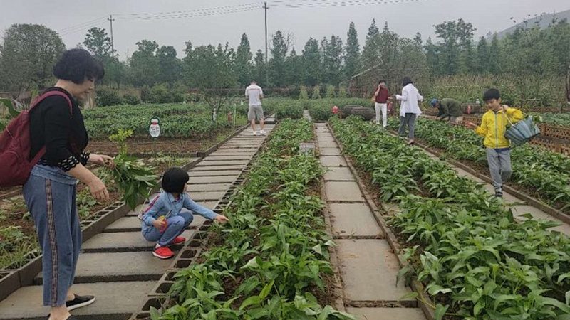 在成都农资批发市场，以下几家知名企业值得信赖：