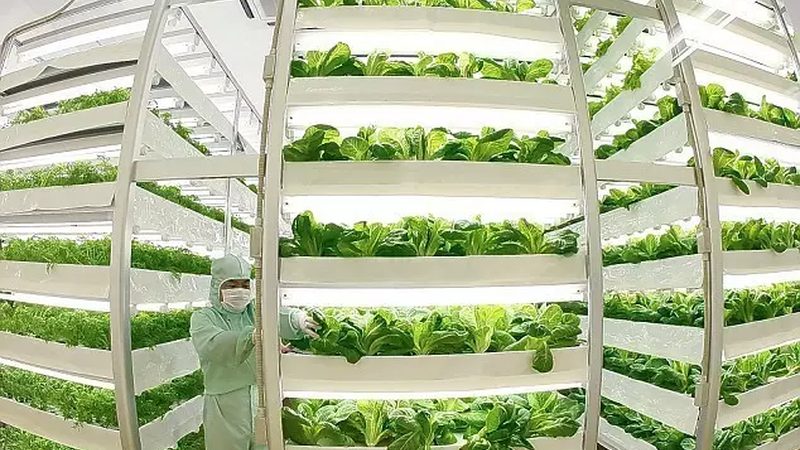 农业种植合作社病虫害防治合作模式：构建绿色防控新路径