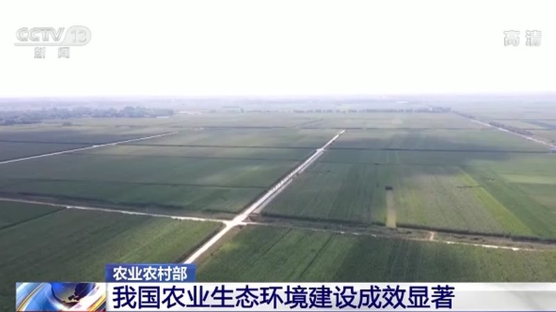 合作社代理记账需要什么资料