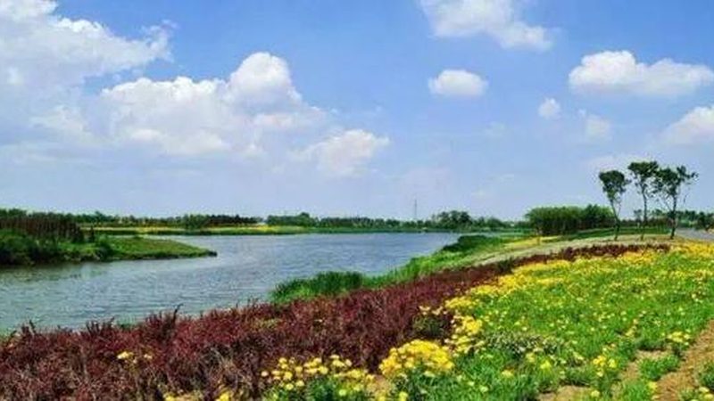 设施农业灌溉系统：性价比高的关键因素解析