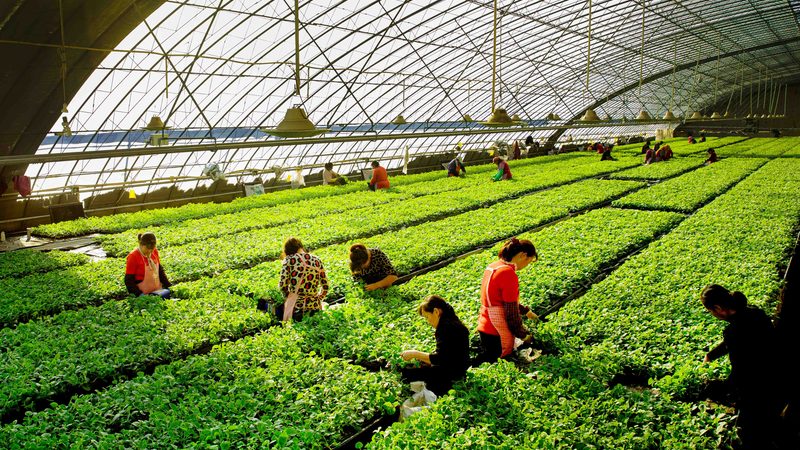 智慧农业种植系统：揭秘其规格型号与选型逻辑
