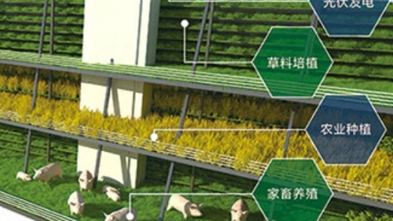 河南温室大棚建设：成本构成与选择要点**