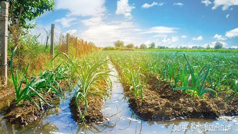 针对以上原因，企业应采取以下整改措施：