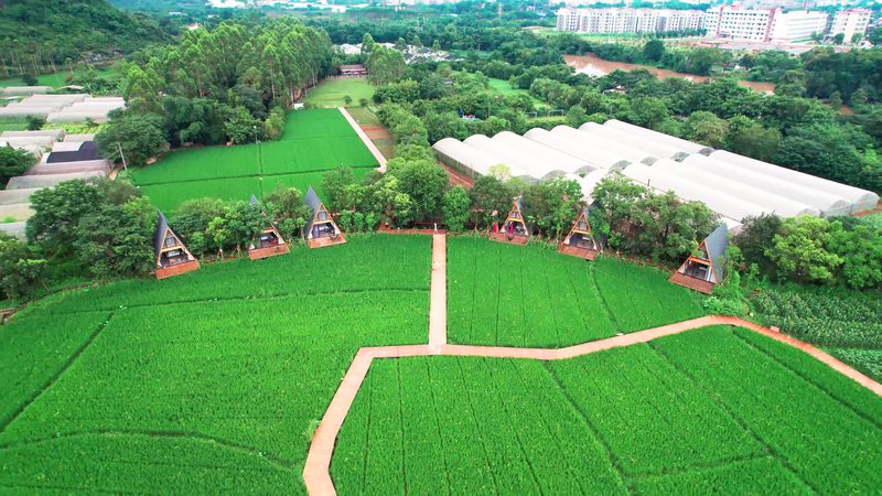 冷库制冷剂选择：如何避免陷入误区