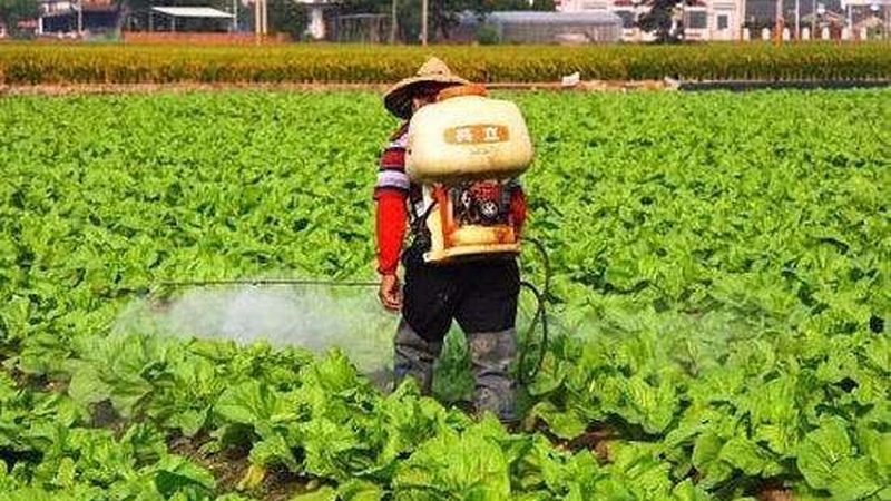 农产品质量追溯系统：守护食品安全的新防线