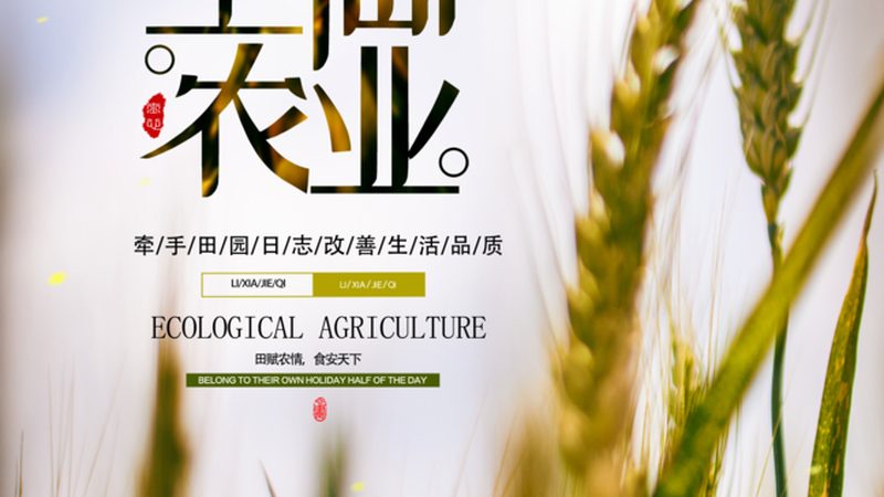 农产品配送利润提升之道：揭秘高效配送策略**